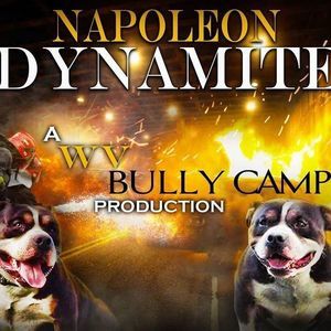 Meet your Posher, Gary